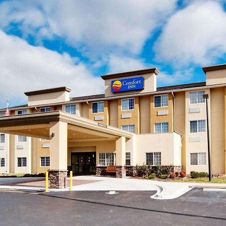 Comfort Inn מאונט איירי מראה חיצוני תמונה