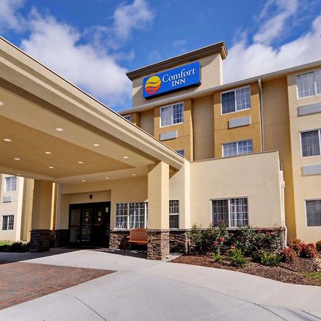 Comfort Inn מאונט איירי מראה חיצוני תמונה